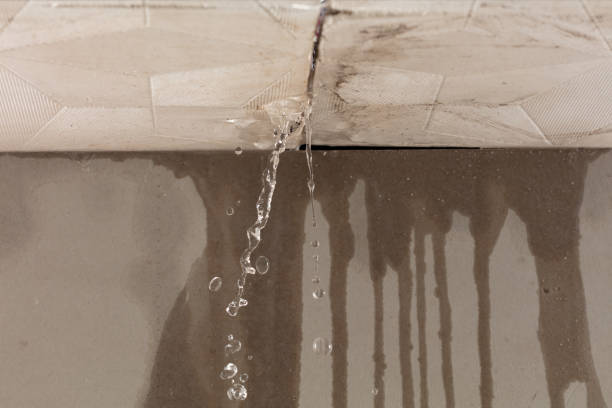 Professional Water Damage Repair technician working in North Woodstock, NH